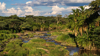 Virunga National Park, African national parks, Wildlife, Conservation HD wallpaper