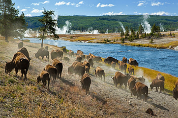 Wyoming Travels, State Wyoming, Belgium HD wallpaper
