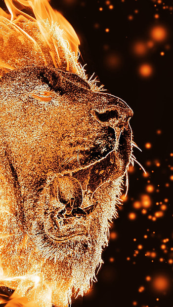 Fire Lion, Digital Art HD phone wallpaper