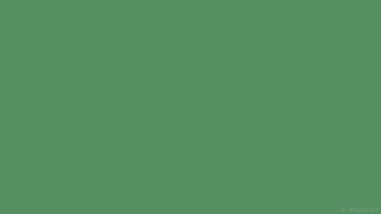 single plain solid color green one colour HD wallpaper