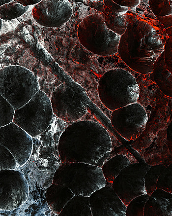 Texture, Textures, Surface, Relief, Craters HD phone wallpaper