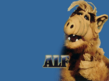 Alf, Series, Tv, Movie HD wallpaper