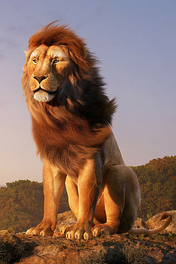 Mufasa, The Lion King HD phone wallpaper
