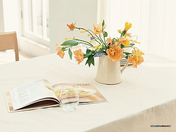 Sunshine, chair, table, white, bouquet, stems, floral, kitchen, spring, jug, leaves, book, green, yellow, glass, flowers HD wallpaper