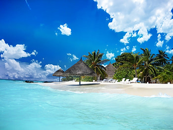 Beach, Landscape, Sky, Sea, Palms HD wallpaper