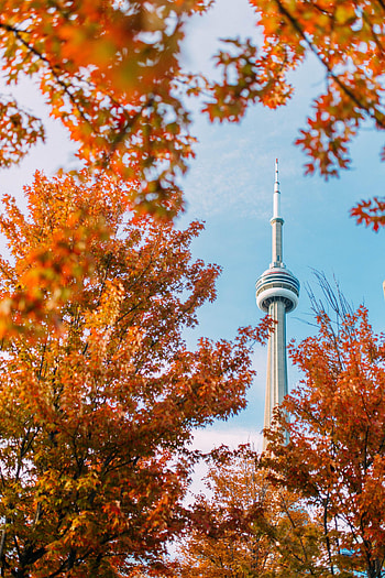 Cities, Trees, Autumn, Building, Tower HD phone wallpaper