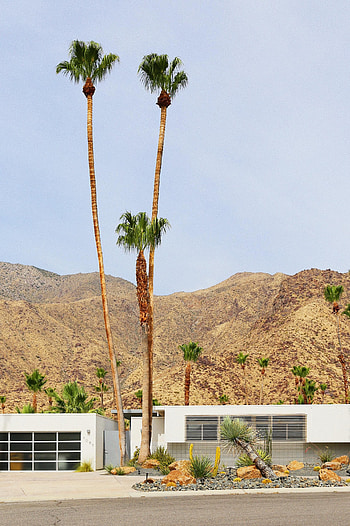 Nature, Palms, Building, Hills, Sandy HD phone wallpaper