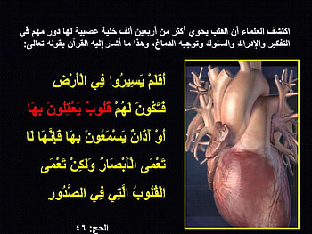 quran, islam, medecine, science, education HD wallpaper