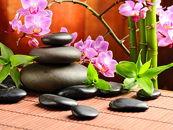 Spa still life, bamboo, beautiful, relax, nice, stones, still life, pink, pretty, treatment, nature, flowers, spa, lovely, orchids HD wallpaper