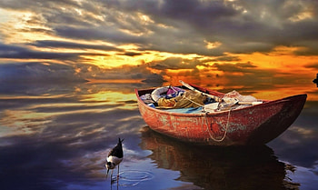 ABANDONED BOAT at SUNSET, bird, landscape, reflection, clouds, nature, sky, splendor, water, sunset HD wallpaper