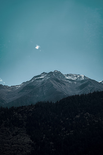 Landscape, Nature, Mountain, Vertex, Top, Forest, Foothills, Foothill HD phone wallpaper