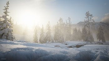 Red Dead Redemption 2 / A Beautiful Misty Morning, video game, Red Dead Redemption 2 HD wallpaper