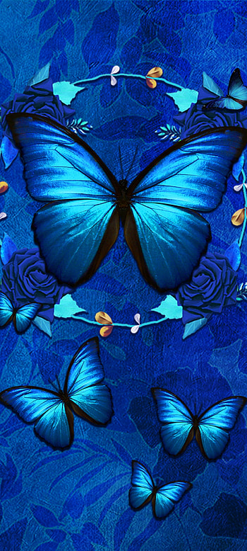 Blue Butterfly, green, premium, natural, dark HD phone wallpaper