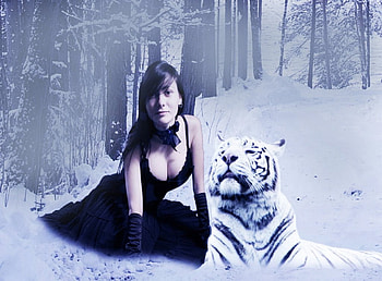 In the Snow, winter, girl, tiger, snow HD wallpaper