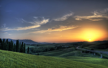 Sunrise, Nature, Trees, Fields, Sun, Greens, Rise, Bridge, Meadows HD wallpaper