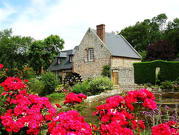 Rock n Rose, roses, plants, waterwheel, house, trees, stone, country HD wallpaper