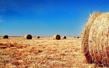 Landscape, Fields HD wallpaper