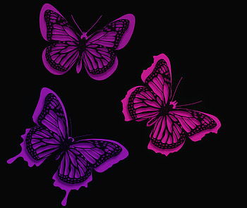 Pink Butterflies Artistic, butterfly, pink, artist HD wallpaper