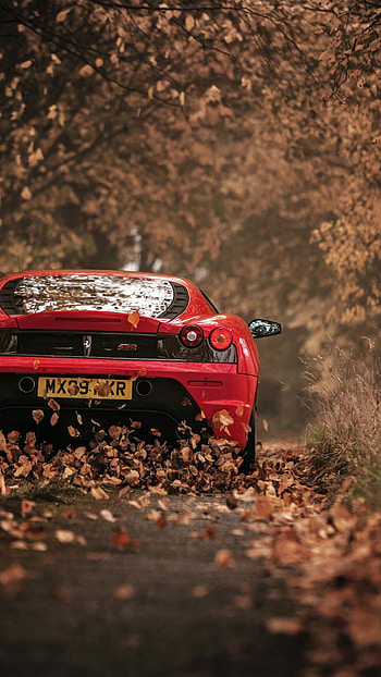 Ferrari , Posted by Michelle Tremblay HD phone wallpaper