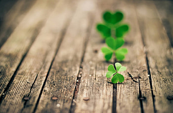 *Embrace semplicity*, semplicity, embrace, nature, green HD wallpaper
