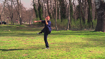 Bajiquan, Wudang Academy, Martial Arts Training, Chinese Culture HD wallpaper