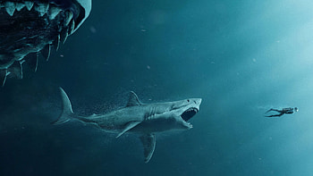 The Meg Movie , the-meg, movies, 2018-movies HD wallpaper