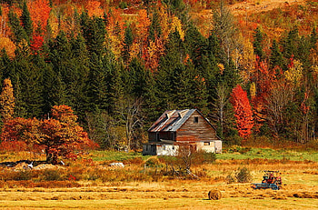 Hut in autumn Forest, Mountains, Autumn, Forest, Trees, Field HD wallpaper