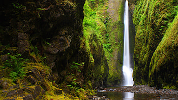 Oneonta Gorge, Oregon HD wallpaper