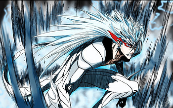 Grimmjow Jaegerjaquez, grimmjow, bleach, anime, hollow HD wallpaper