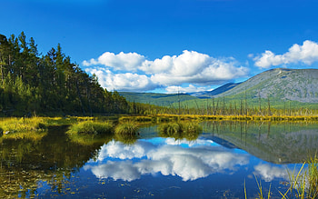 Blue Lake, plants, awesome, pc, , cena, peaks, colors, grasslands, reflections, nice, background, scenery, trees, mountains, scenario, mirror, white, firs, forests, grass, cenario, leaves, green, view, leaf, computer, , mounts, trunks, paisage, blue, black, graphy, , pines, beauty, roots, amazing, , laguna, paysage, water, creeks, scene, reflected, beautiful, lagoon, , lakes, gray, hop, branches, paisagem, cool, clouds, sky, rivers HD wallpaper