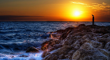 Sunset on the Rocks, Dusk, Sunset, Rocks, Ocean, Pelican, Breaking Waves, Seascape HD wallpaper