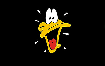 Duck cartoon, , Top , Backgrounds HD wallpaper