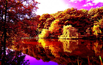 AUTUMN RIVER, river, reflection, green, trees, autumn, forest, beach HD wallpaper
