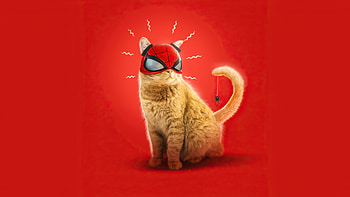 Spiderman Miles Morales Cat, Cat, Morales, Miles, Spiderman HD wallpaper