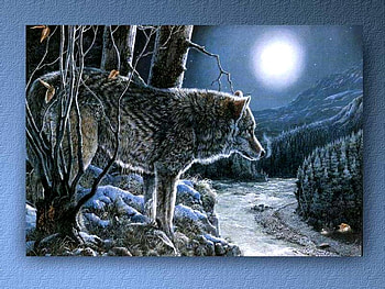 THE INTRUDER, night, blue, moon, snow, wolf, forest HD wallpaper