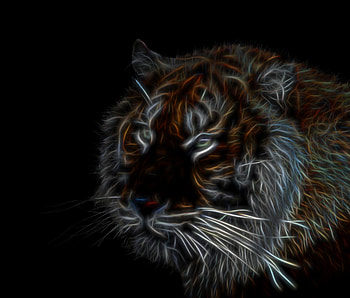 Tiger, dark, muzzle, art HD wallpaper