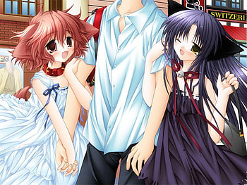 Lucky Guy, dog, anime, cg, cute, cat, tobari, hinata HD wallpaper