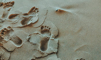 Close-up of footprints imprinted in sandy beach terrain, displaying unique patterns and textures. HD wallpaper
