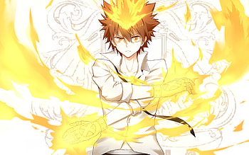 Tsunayoshi Sawada, Protagonist, Manga, Katekyo Hitman Reborn HD wallpaper