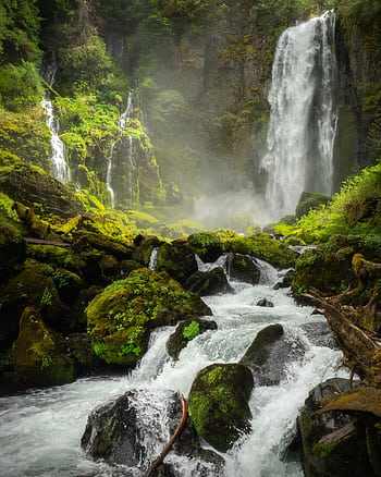 A stunning waterfall cascades through a mossy forest in Washington, capturing nature's serene beauty. HD phone wallpaper