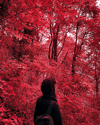 Miscellanea, Miscellaneous, Loneliness, Lonely, Alone, Hood HD phone wallpaper