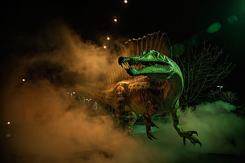 67 spinosaurus , Stunning visuals, Dinosaur fascination, Vibrant display HD wallpaper