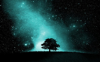 Artistic - Sky Artistic Tree Silhouette Night Starry Sky Stars HD wallpaper