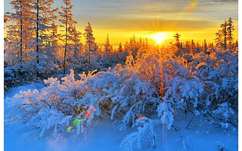 Winter, wooden, rays, river, creek, sunlight, glow, peaceful, serenity, nice, reflection, painting, snow, shine, trees, calm, golden, house, cold, beautiful, orange, pretty, light, smoke, bridge, cottage, lovely, calmness, village HD wallpaper