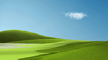 Field of grass , Top field, Grass backgrounds HD wallpaper