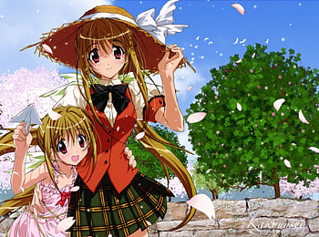 Sisterly Love, wind, sisters, anime, cute, tree HD wallpaper