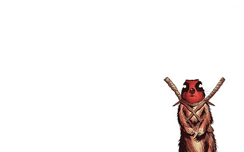 Deadpool squirrel jpg HD wallpaper