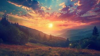 Breathtaking Sunset in the Forest -, sunset, forest, sky, sun HD wallpaper