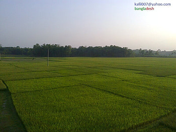 NATUREL BEUTY OF BANGLADESH, , kafil, nature, bangladesh HD wallpaper