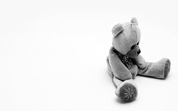 Minimalism, Bear, Toy, Bw, Chb, Soft HD wallpaper